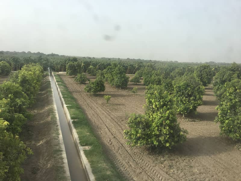 Beautiful 230 Sq Yd Agriculture Land Hyderabad - Mirpurkhas Road 4