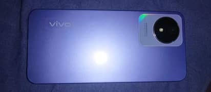 vivo