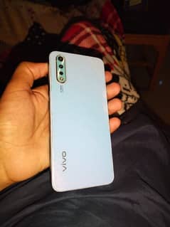 vivo