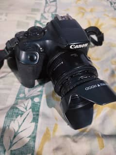 canon 1300d with 50mm