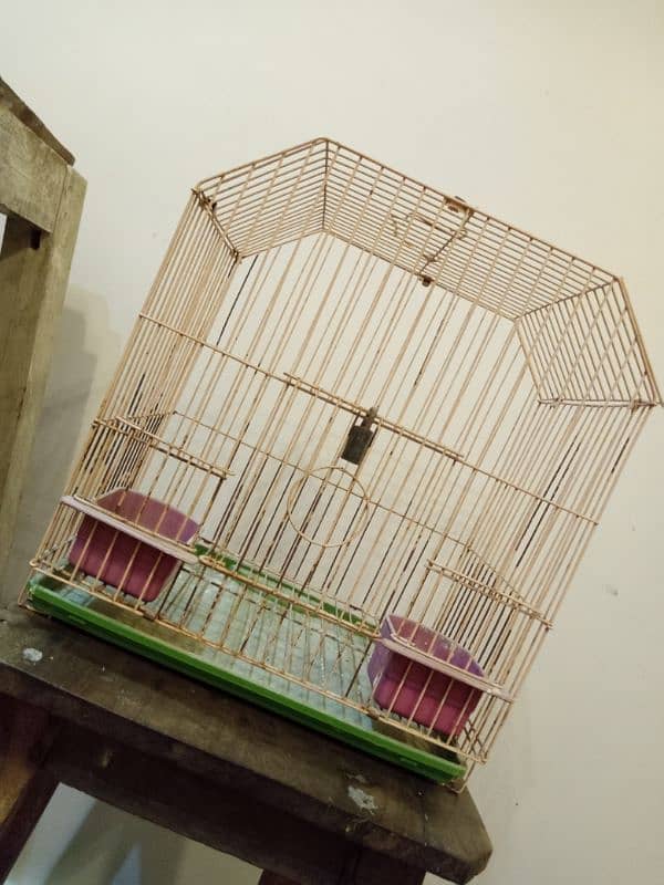 Small Cage 1