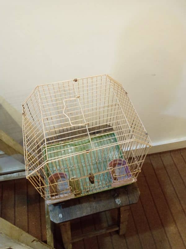 Small Cage 2