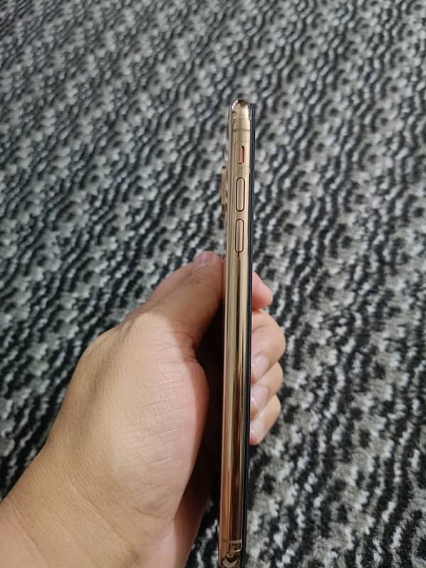 Xs Max 256 GB Condition 10/10 2