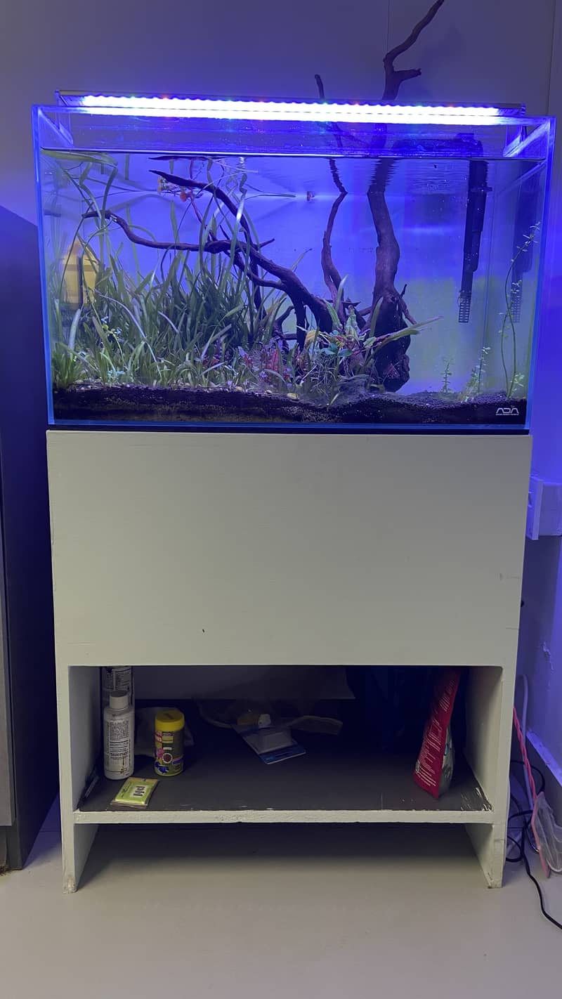 Planted ADA aquarium with new stand for sale 9