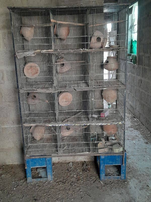 birds cages 0