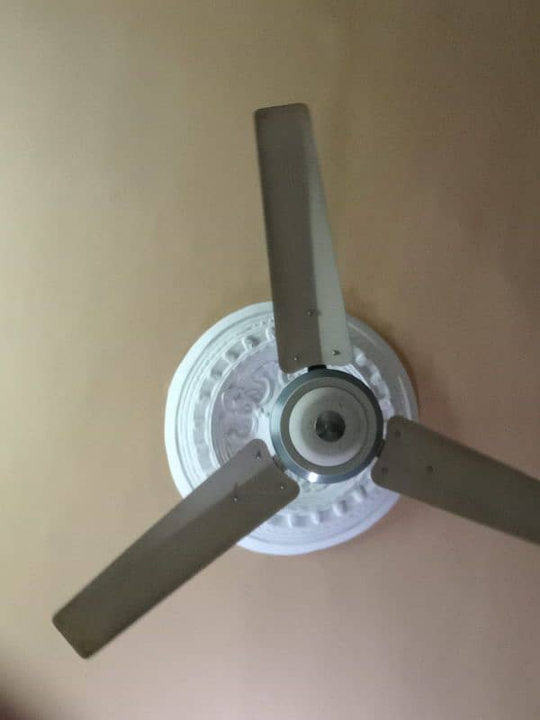 Wanted to sell celling fans in good and working condition 1