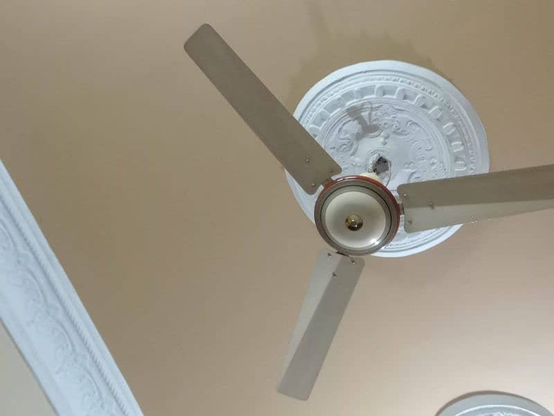 Wanted to sell celling fans in good and working condition 2