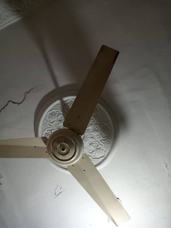 Wanted to sell celling fans in good and working condition 3