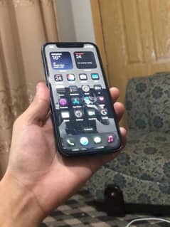 Iphone 12 (SimWorking From 1.5 Years)