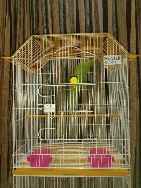 2 days used cage for sale 3