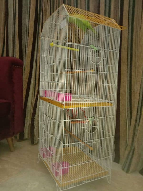 2 days used cage for sale 5