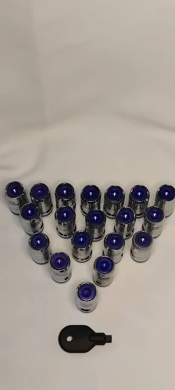 Racing Lug studs 2