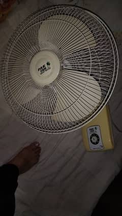 Pakfan bracket fan