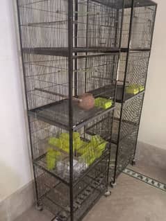 cage/bird cage