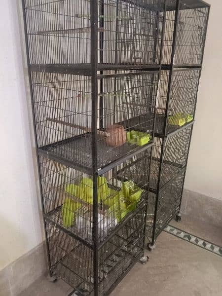 cage/bird cage 0