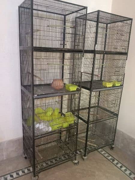 cage/bird cage 1