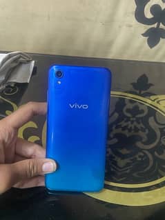 Vivo