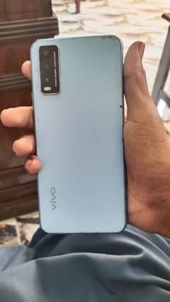 vivo