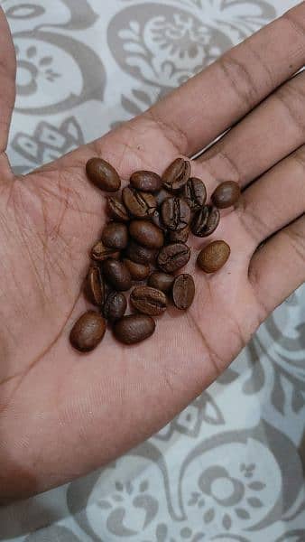 Coffee beans 1