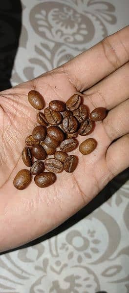 Coffee beans 2