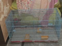 dubal full size cages parrots