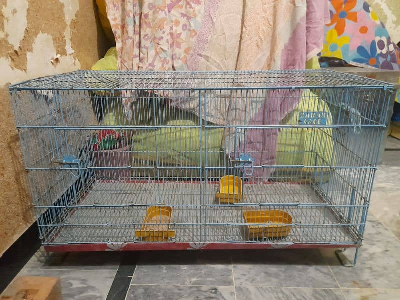 dubal full size cages parrots 2