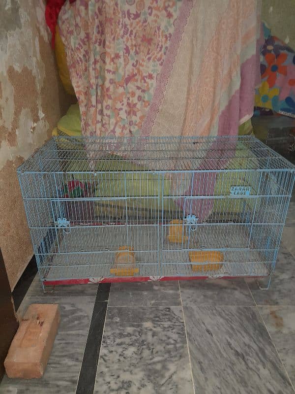 dubal full size cages parrots 4