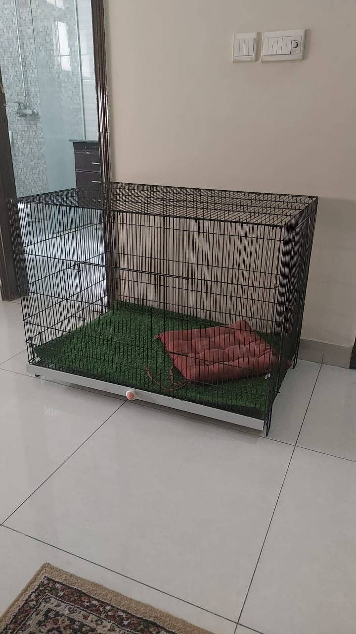 Large Iron Cat Cage with Grass Carpeting - 90x42 inches | 10/10 1