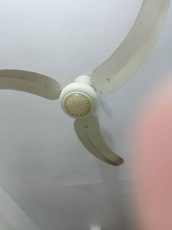 Ceiling Fans GFC 3