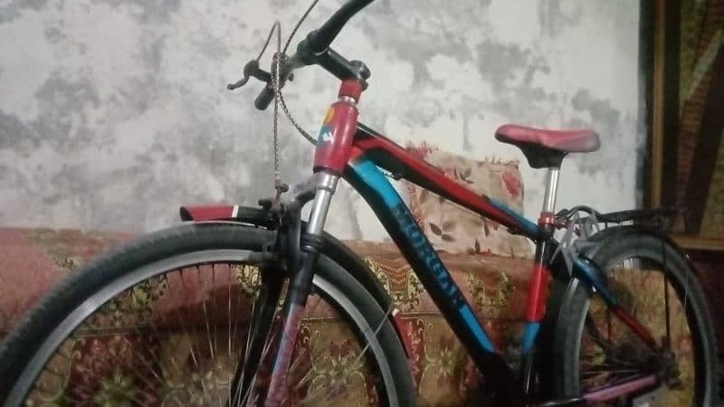 Fast speed bicycle03287220868 1