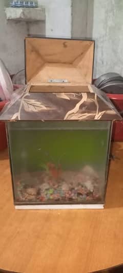 Fish Aquarium