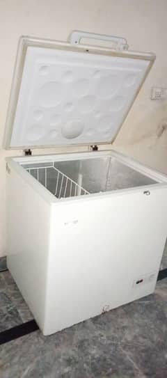 hair freezer one door for sale arjunt 0