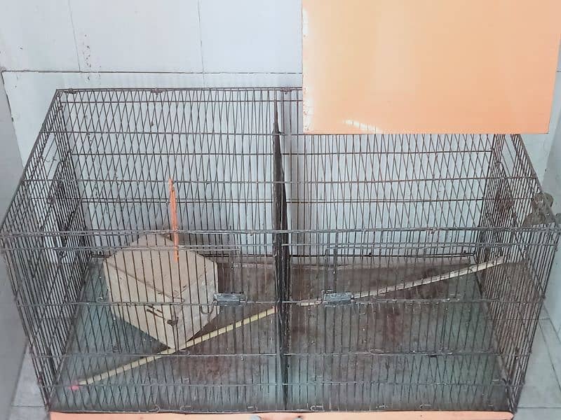 Hen Cage 1