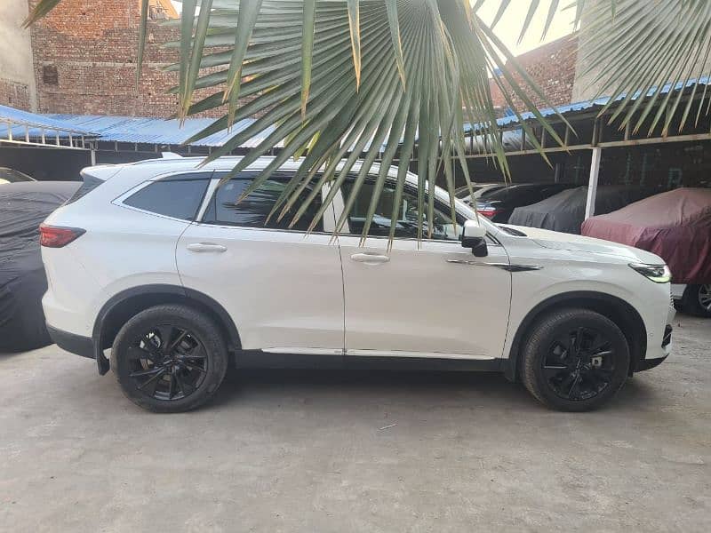 Haval H6 2024 2