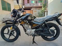 Yamaha Ybr125G 2024