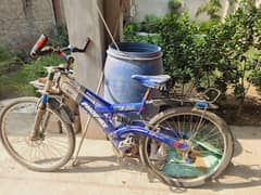 Phoenix Bicycle for sale