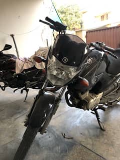 YAMAHA YBR 125 for sale