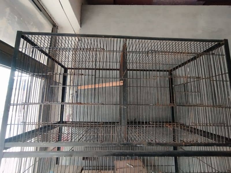 Bird Iron Cage (pinjra) 5