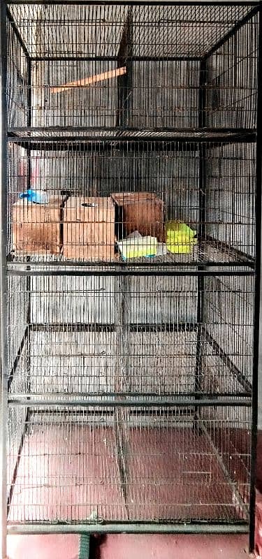 Bird Iron Cage (pinjra) 6