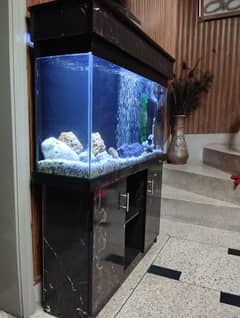 Big Aquarium for sale