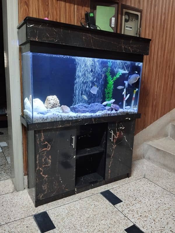 Big Aquarium for sale 1