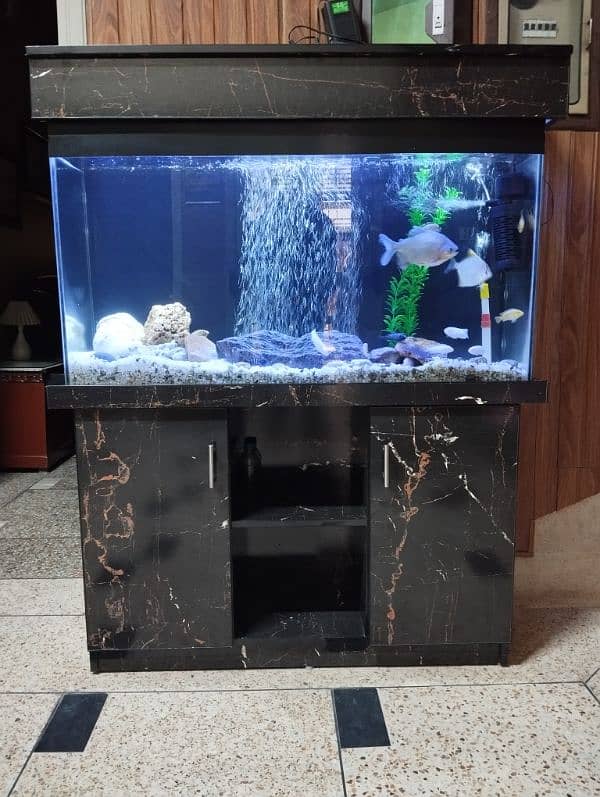 Big Aquarium for sale 2