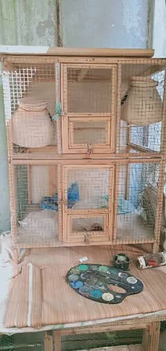 2 cage and 3 budgies available in cheap price