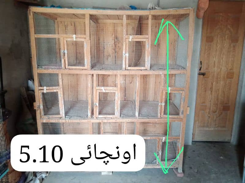 Bird Cage 4