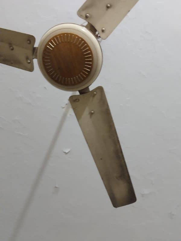 Ceiling fan for sale good condition smooth working condition no noise 1