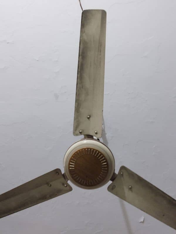 Ceiling fan for sale good condition smooth working condition no noise 4