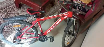 Phoenix Mountain bicycle