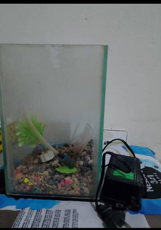 mini fish aquarium 1