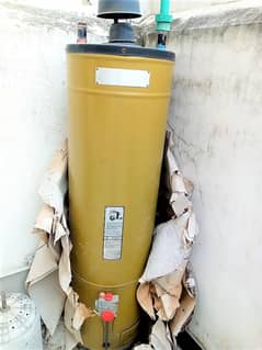 SINGER SG 30 D GEYSER 30 GALLON