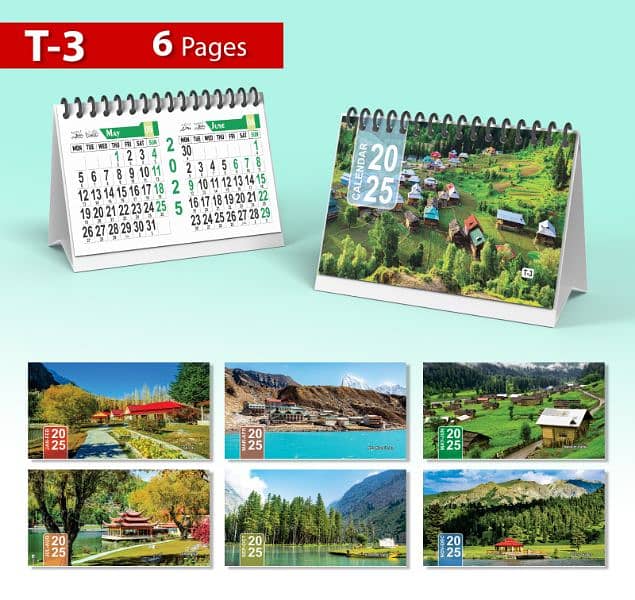 New year Dairies and Calendar 2025 12